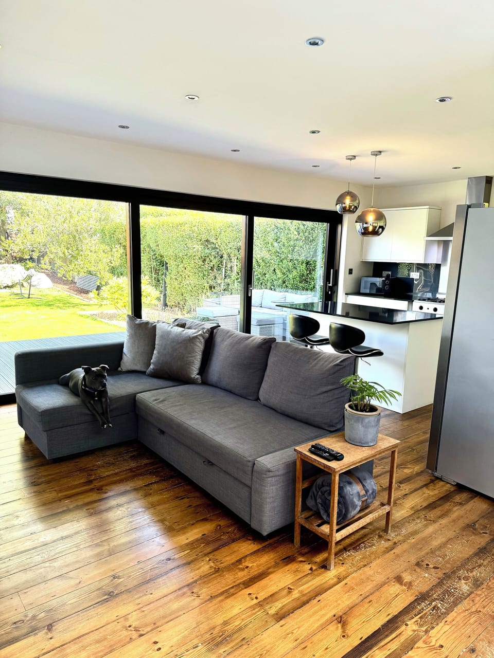 Sofa bed and open kitchen area.  Smart TV 