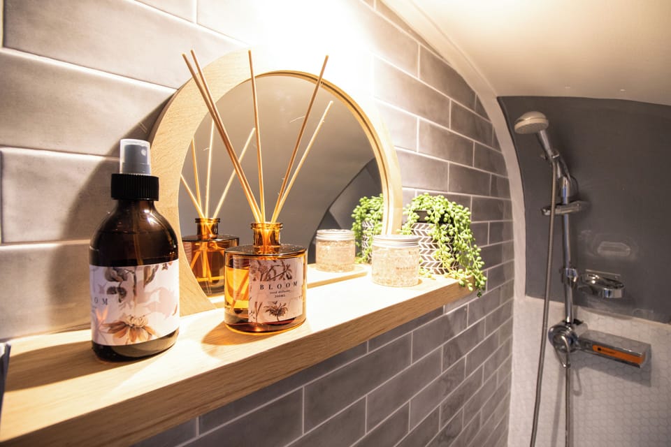 Airstream Trailer | Bathroom shower