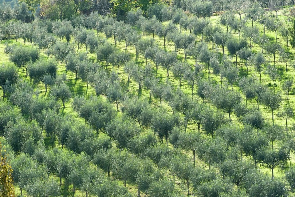 Surroundings [summer] (1-5 km)