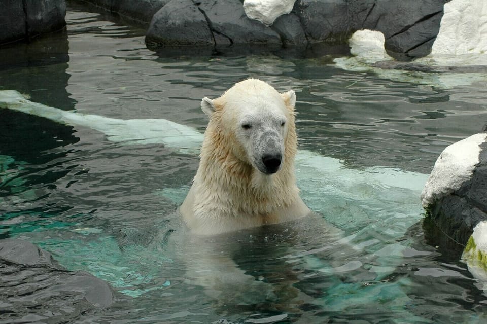 The world-famous San Diego Zoo is home to thousands of animals and beautiful walking trails.
