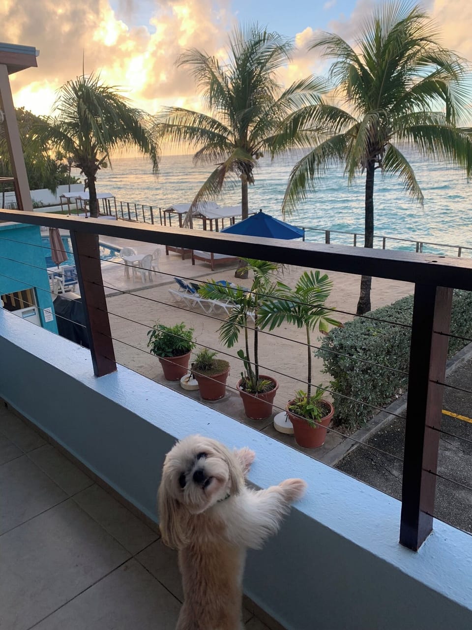 Sunrise view from the patio