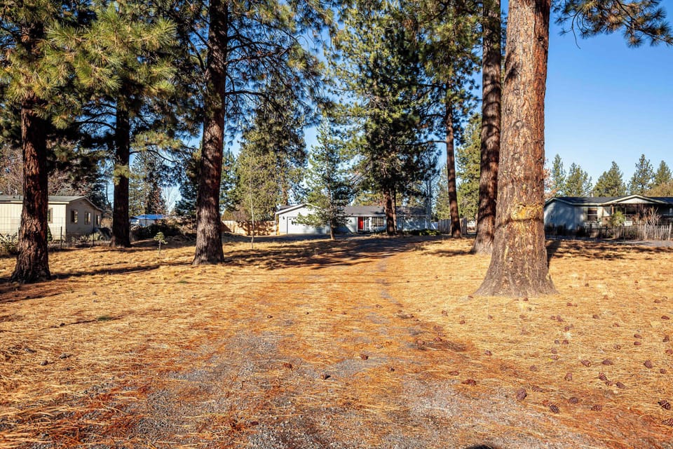 Large driveway with easy access and beautiful pine trees all around you. 