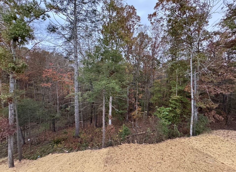 Nature at your doorstep, with Smoky Mountain wildlife as your neighbors.
