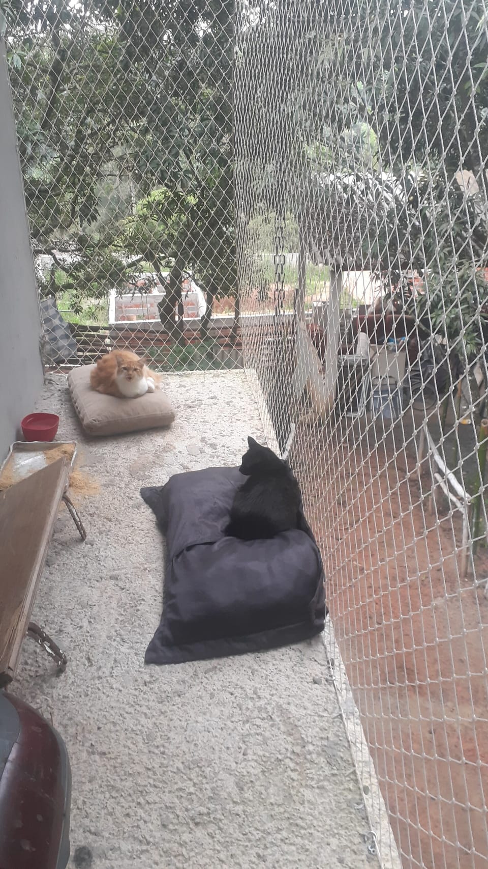 Property grounds