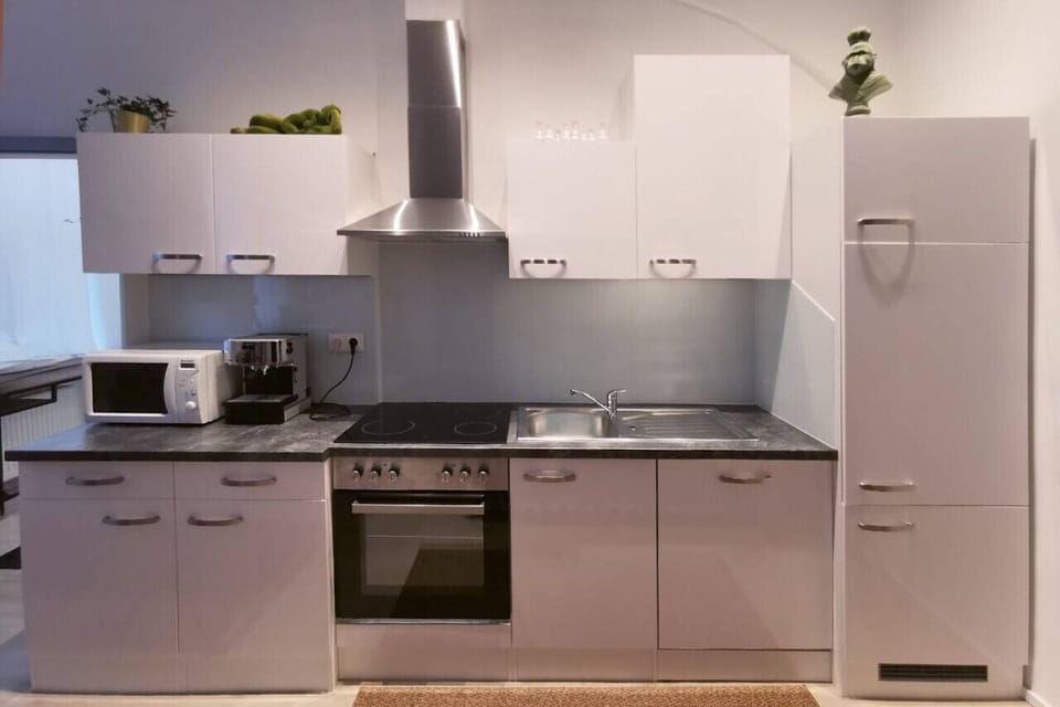 Apartment, Courtyard View | Private kitchen | Full-size fridge, microwave, oven, stovetop