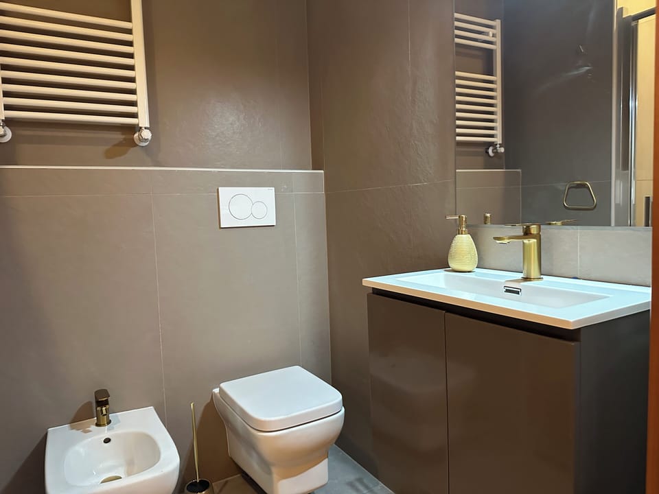 Shower, hair dryer, bidet, towels