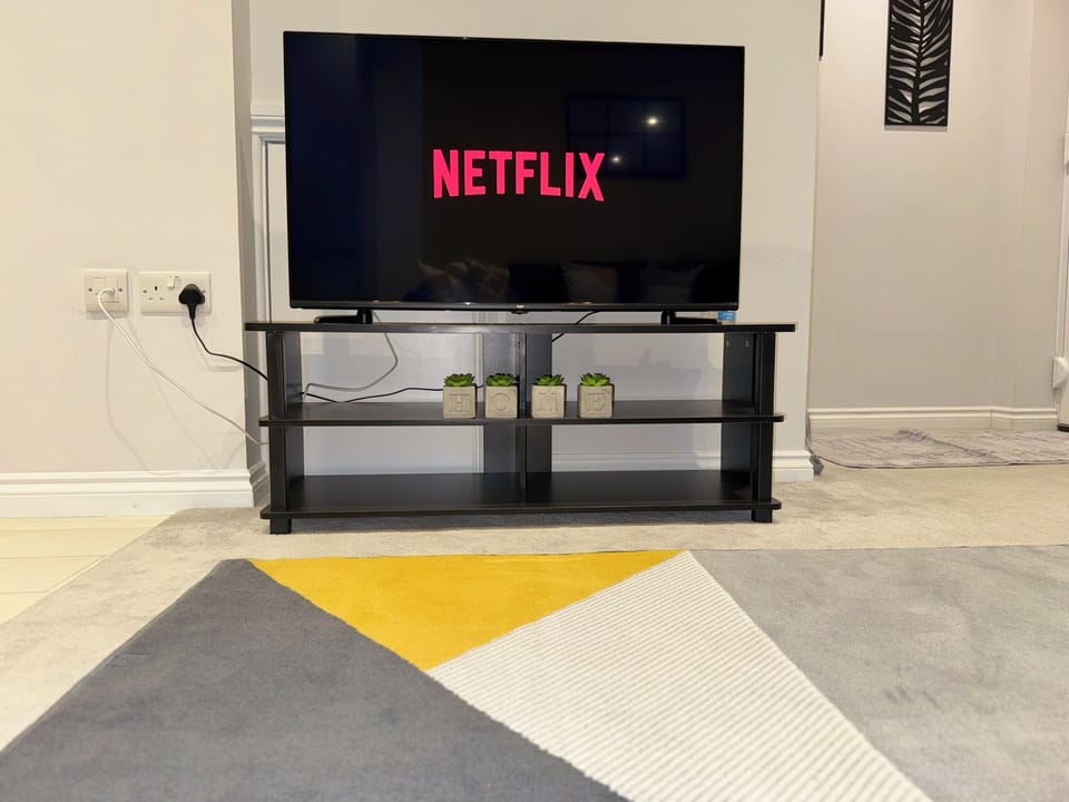 Television