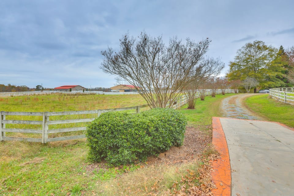 Property Surroundings