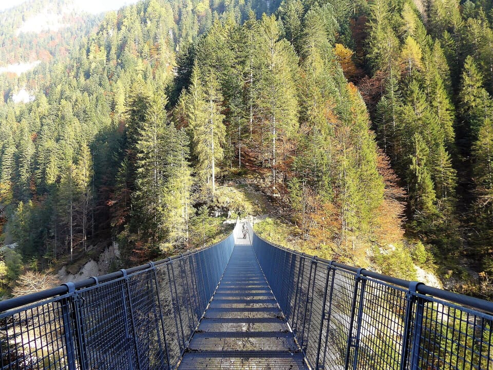 Autumn, Spring, Summer