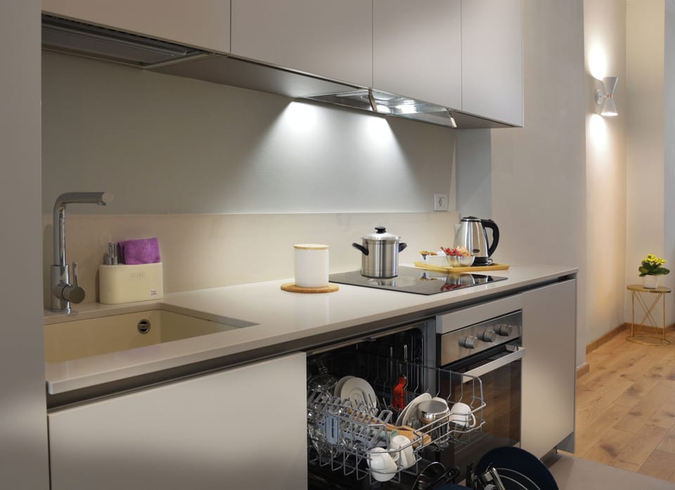 Executive Apartment | Private kitchen | Full-size fridge, oven, dishwasher, espresso maker