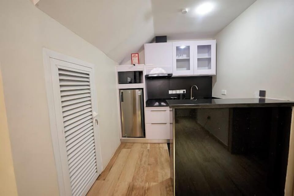 Family Apartment, Balcony, City View | Private kitchen | Fridge, microwave, oven, stovetop