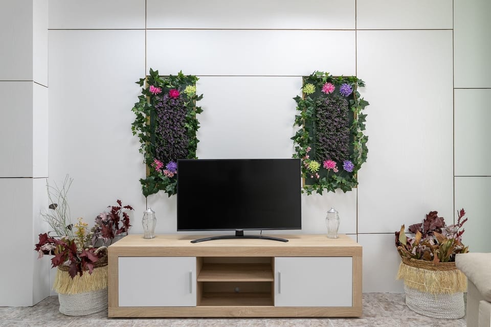 TV