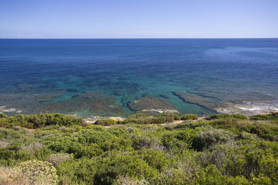 Autumn, Spring, Summer, Winter