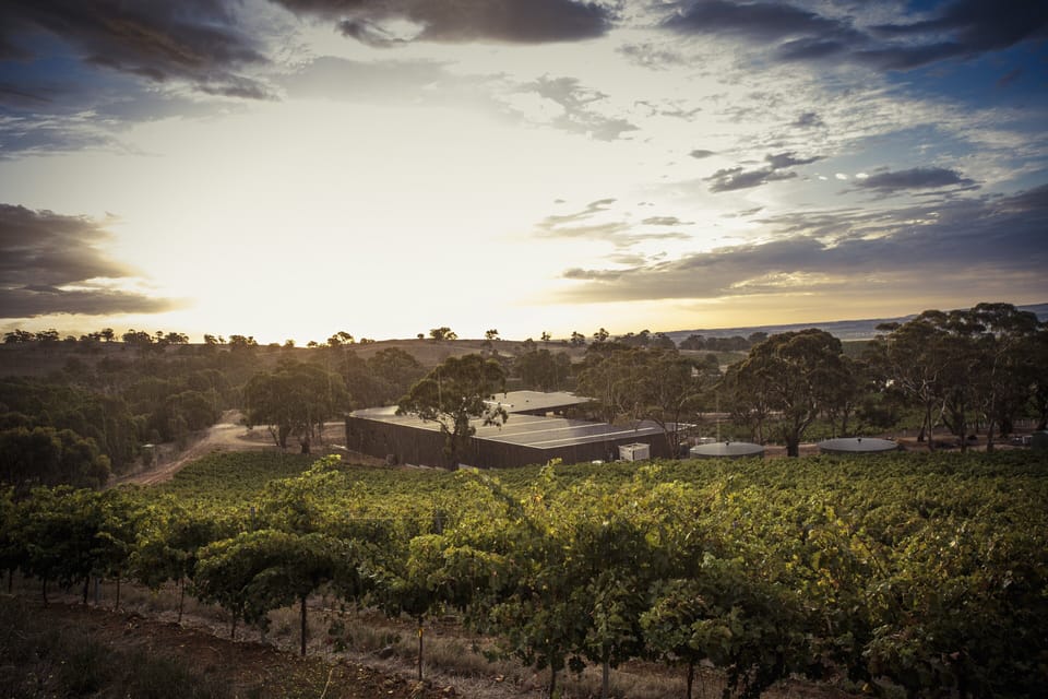 Lambert Estate  Vineyard