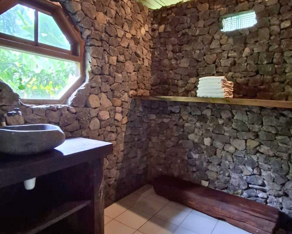 Traditional Room, 2 Bathrooms | Bathroom | Shower, free toiletries, towels, soap