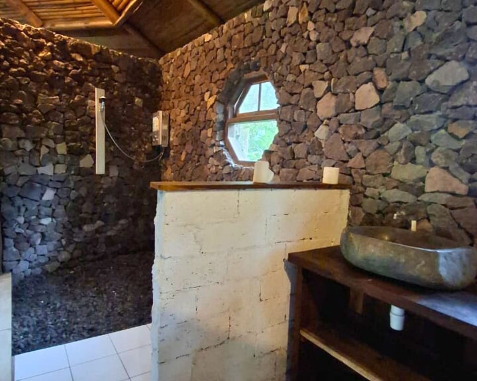 Traditional Room, 2 Bathrooms | Bathroom | Shower, free toiletries, towels, soap