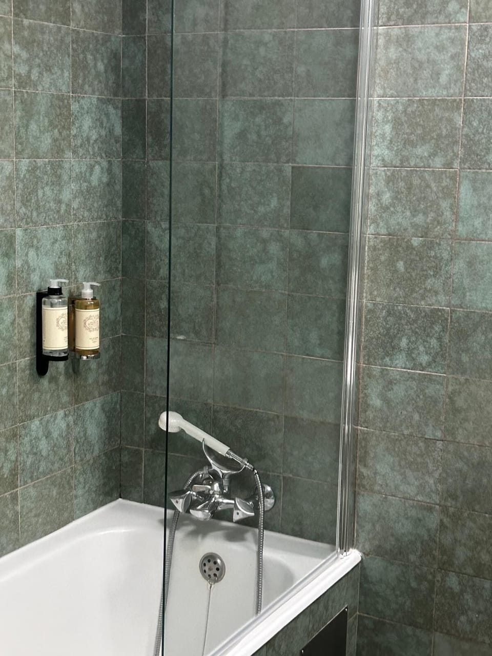 Combined shower/tub, rainfall showerhead, hair dryer, bidet