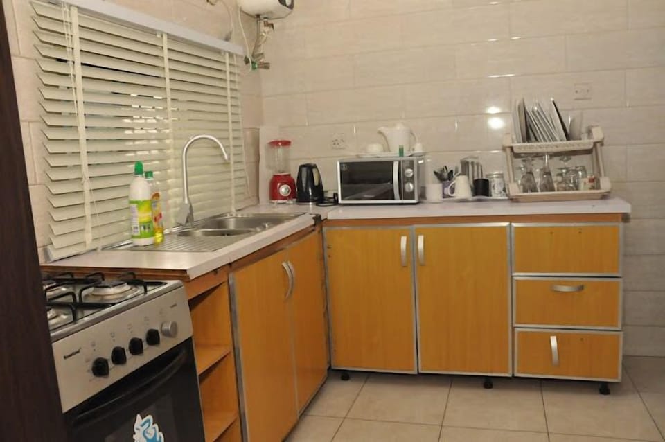 Family Apartment, Balcony, City View | Private kitchen | Fridge, microwave, oven, stovetop