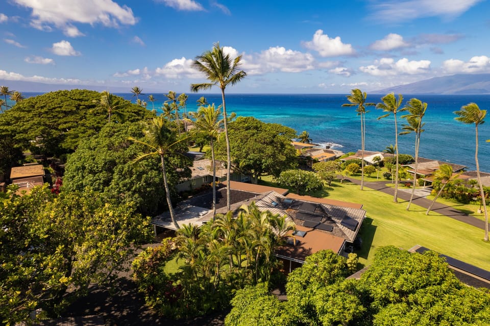 Relax with panoramic ocean views framed by lush palm trees, creating a serene tropical atmosphere for your stay.