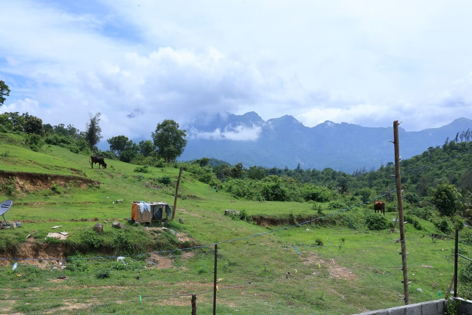 View from property