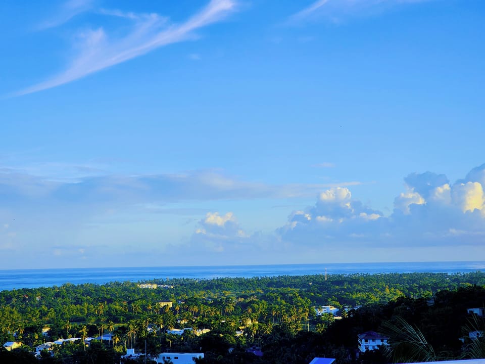 View from property