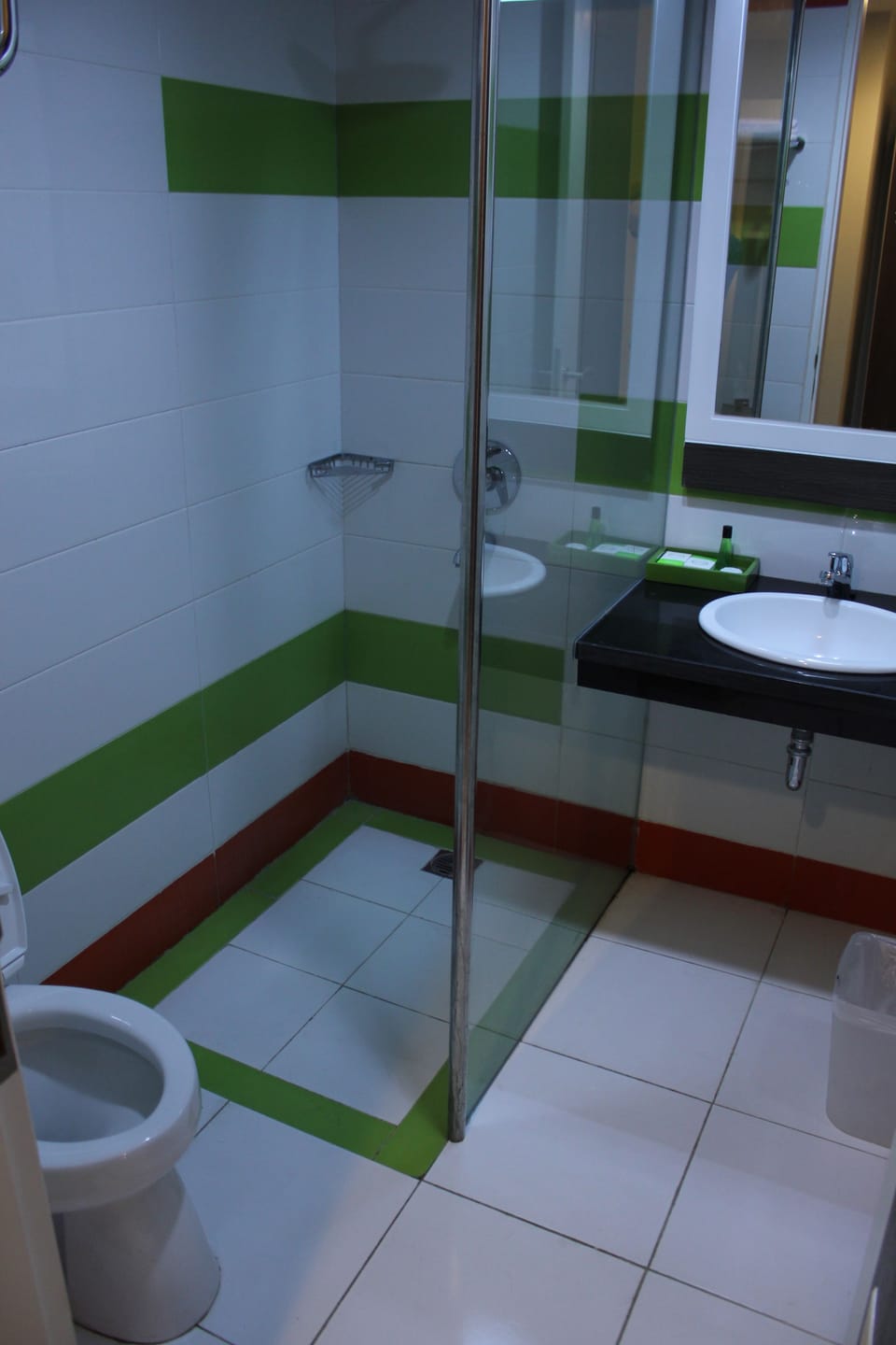 Superior Twin Room | Bathroom | Shower, free toiletries, hair dryer