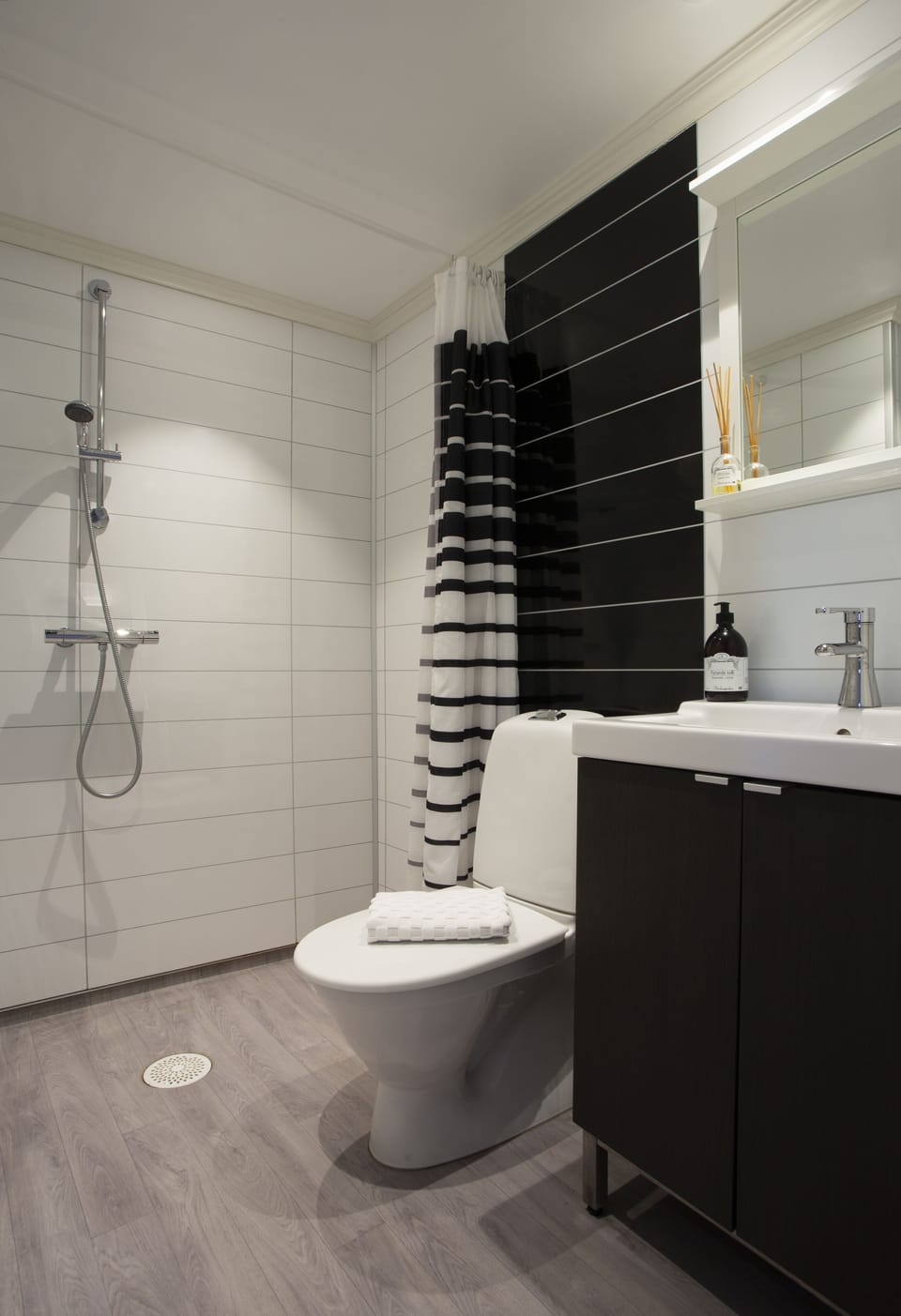 Family Room, 1 Queen Bed with Sofa bed | Bathroom | Shower, hair dryer, towels