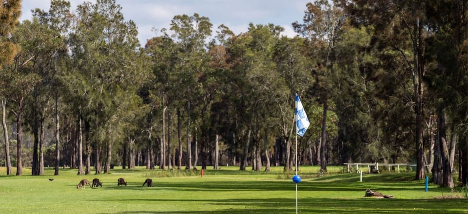 Thistledoo | Location Shot | 1km to golf course