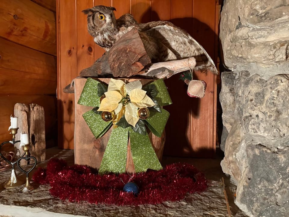 Woodland whimsy a festive owl watching over the lodge bringing a touch of northern magic indoors