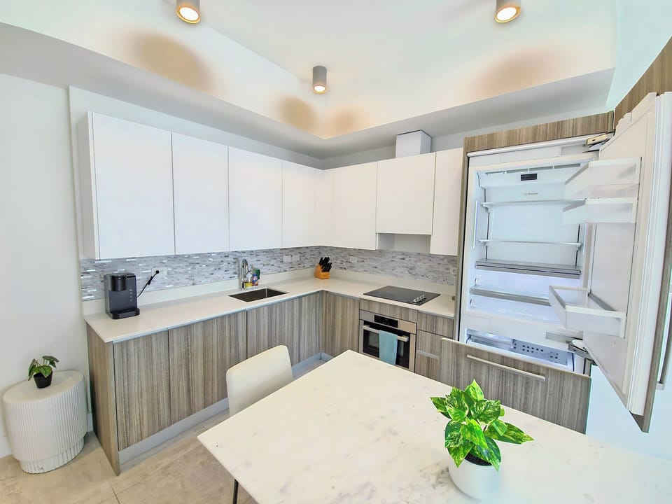 Deluxe Apartment, Balcony, City View | Private kitchen | Full-size fridge, microwave, oven, stovetop