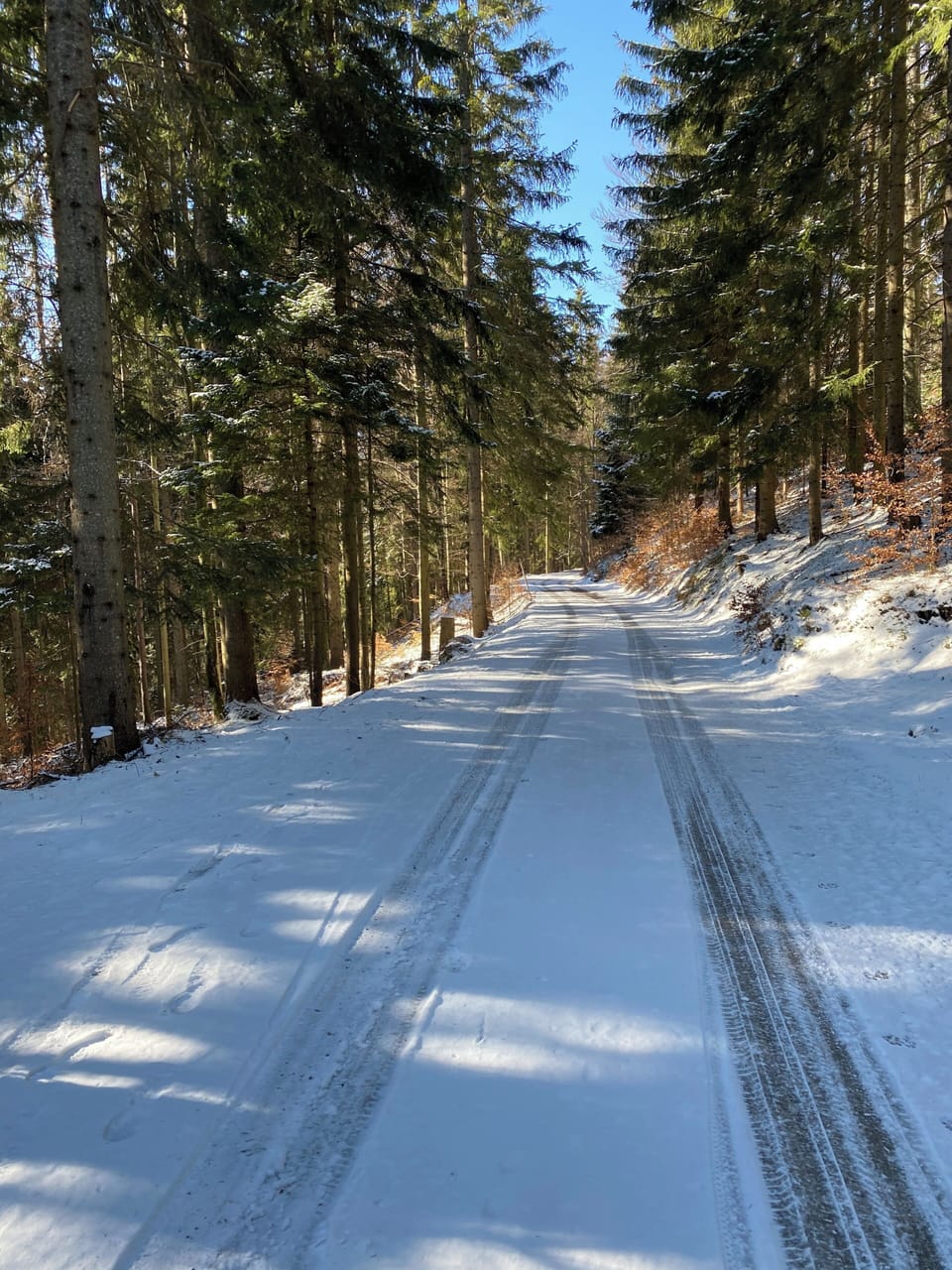 Snow and ski sports