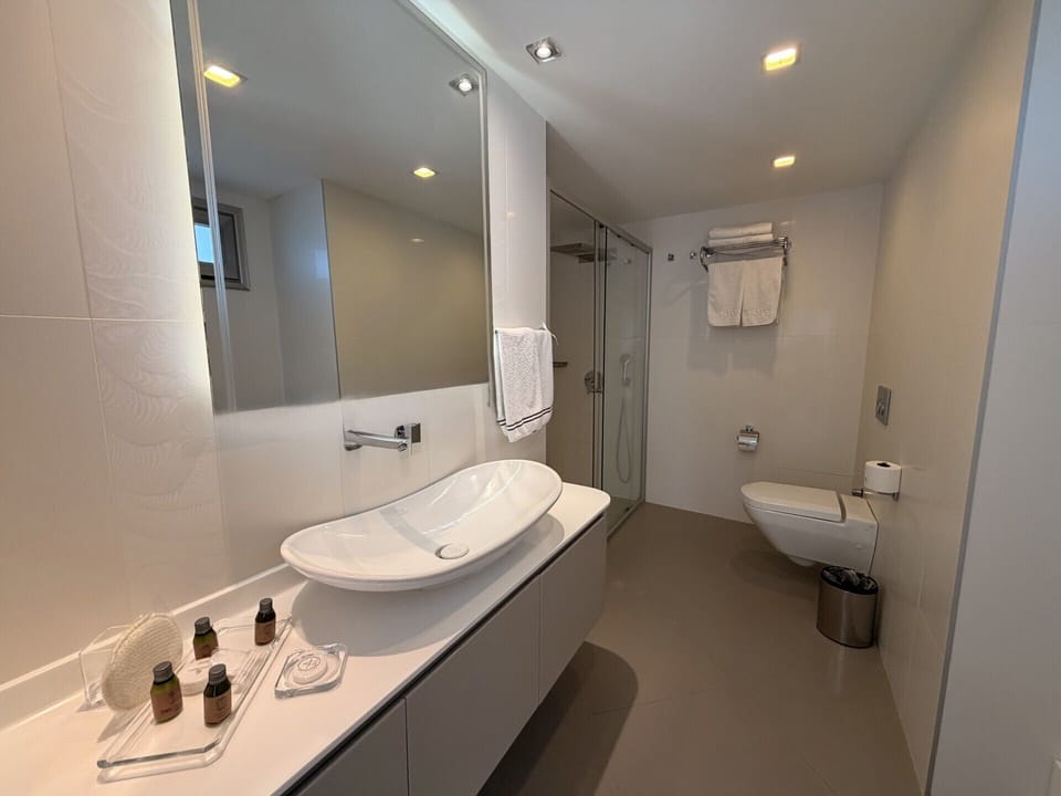 Luxury Suite | Bathroom | Shower, rainfall showerhead, hair dryer, bathrobes