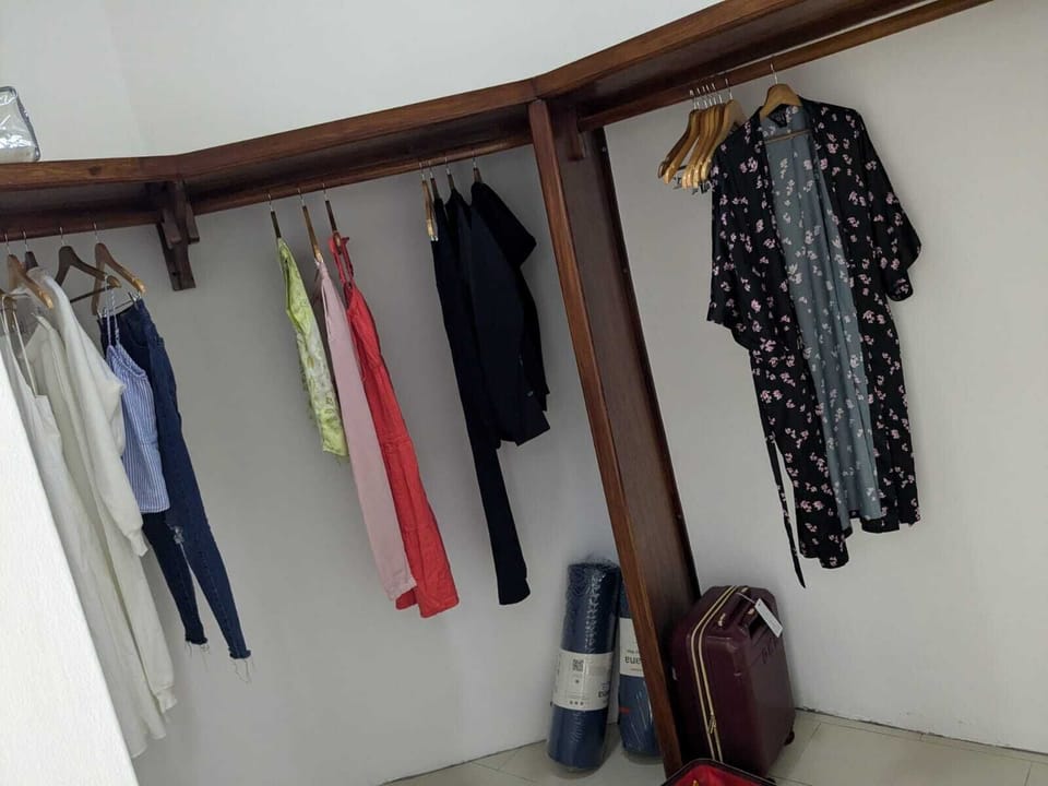 Primary closet 