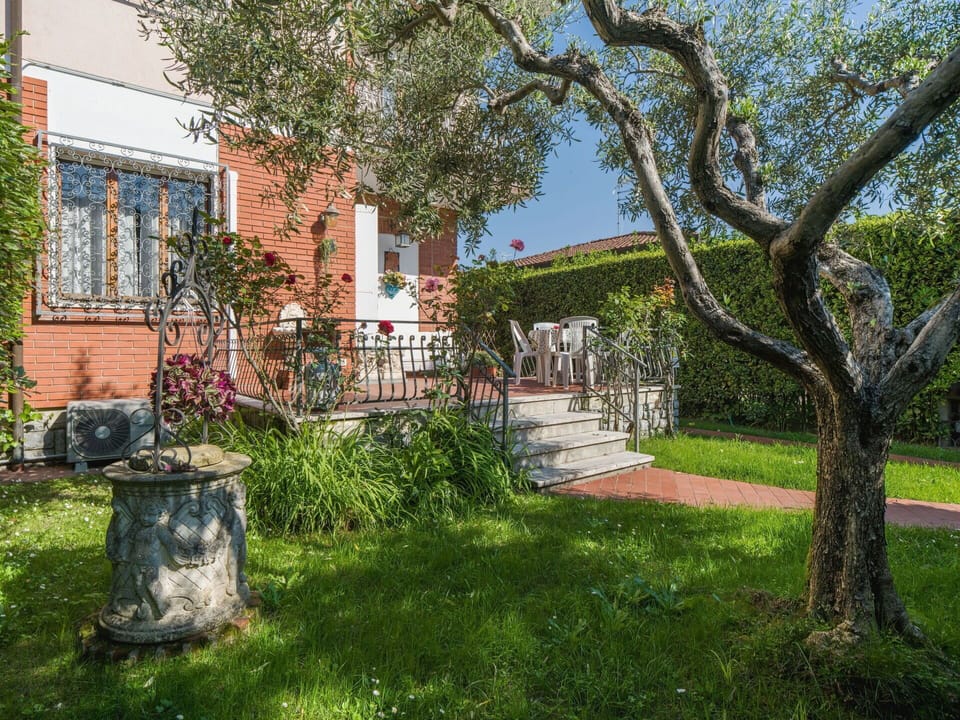 Shrub, House, Garden, Home, Spring, Lawn, Estate, Yard, Backyard, Landscaping