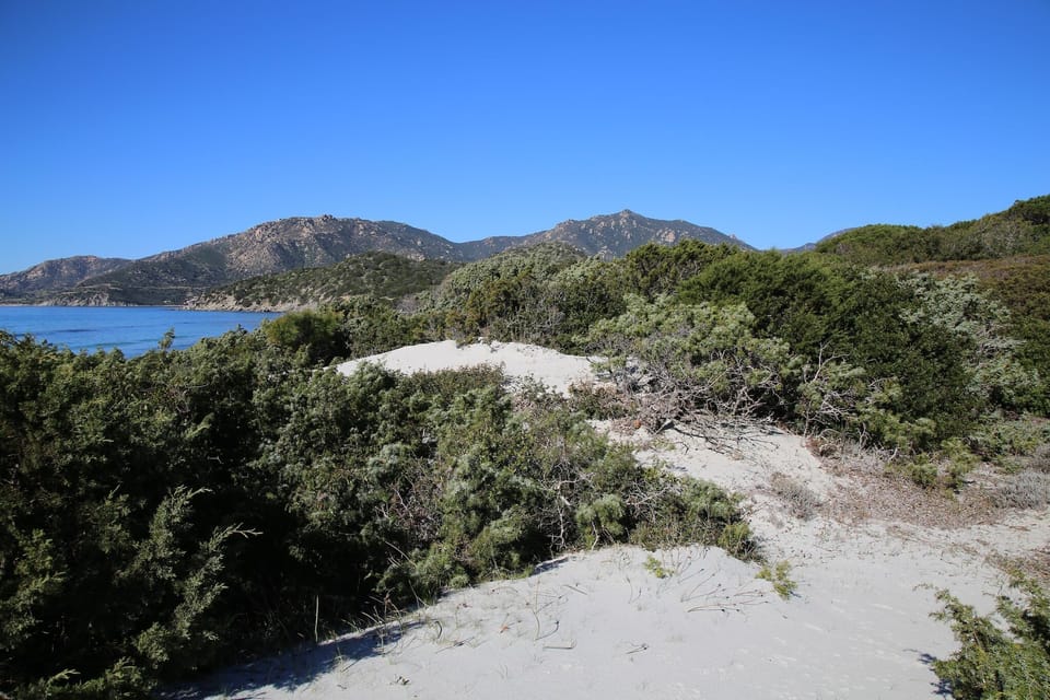 Immediate Surroundings [summer] (<1 km)