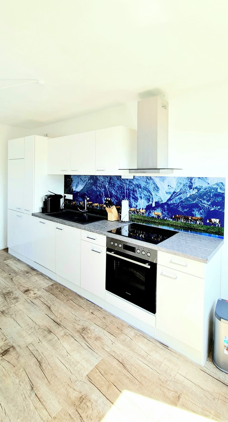 Deluxe Condo, Mountain View | Private kitchen | Electric kettle, toaster, highchair
