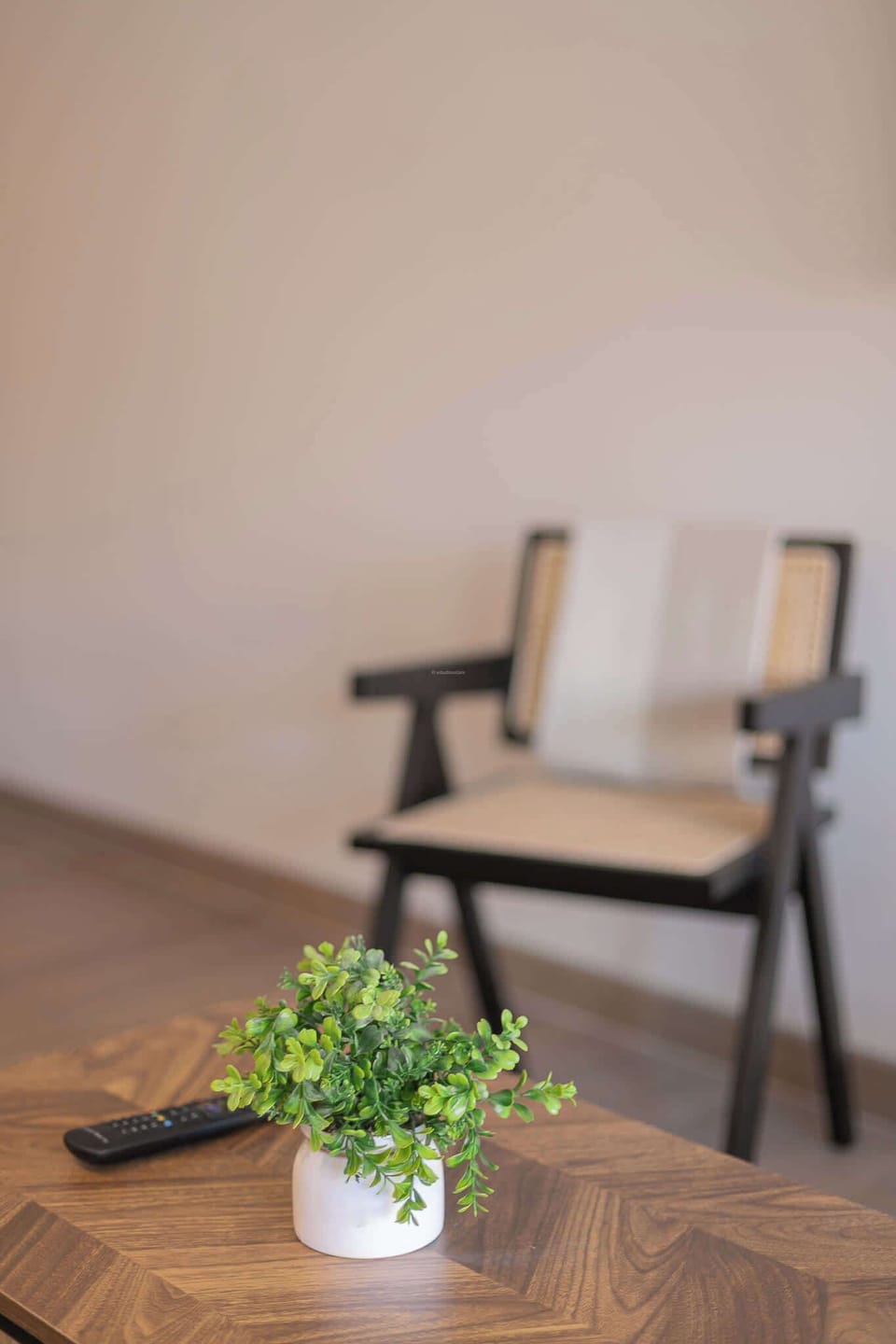 Cozy corner with a touch of greenery, perfect for unwinding after a long day.