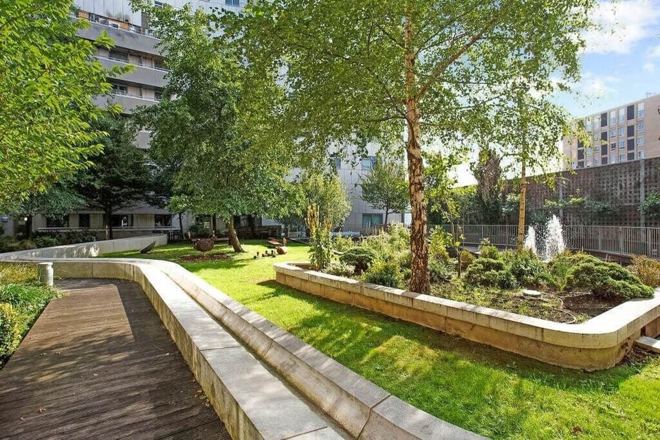 Back Garden