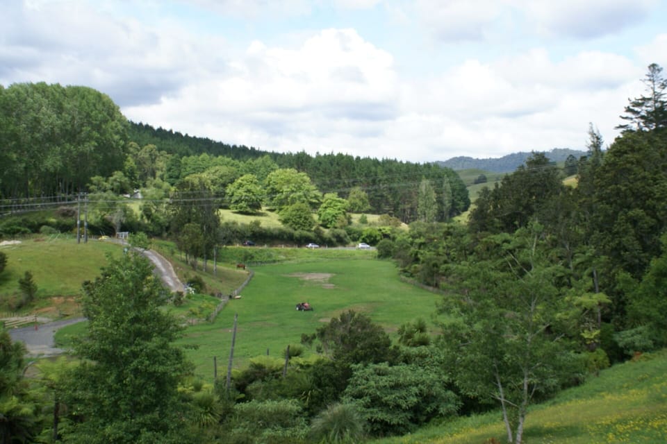 Waihi Road