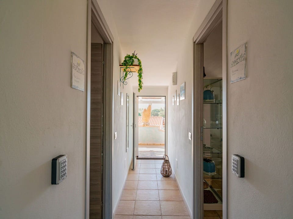 Building, Door, House, Flooring, Wood, Floor, Ceiling, Houseplant