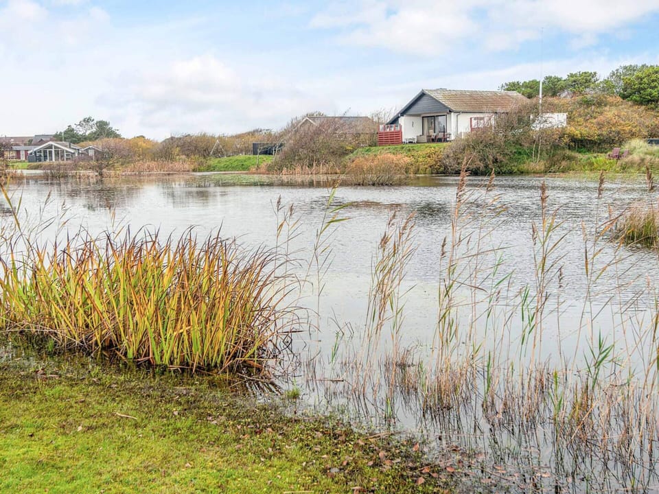 House | Property grounds