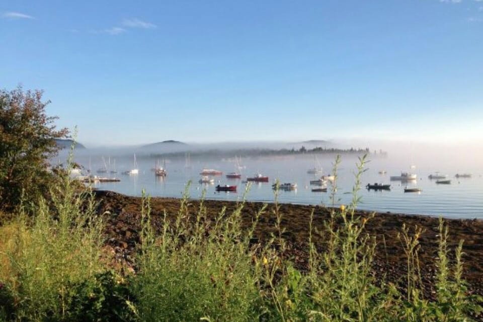 Local Harbor