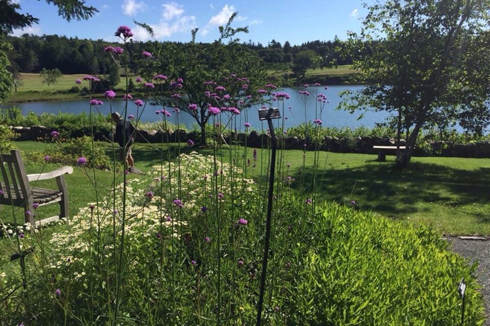 Charlotte Rhodes Butterfly Garden/Park across the street