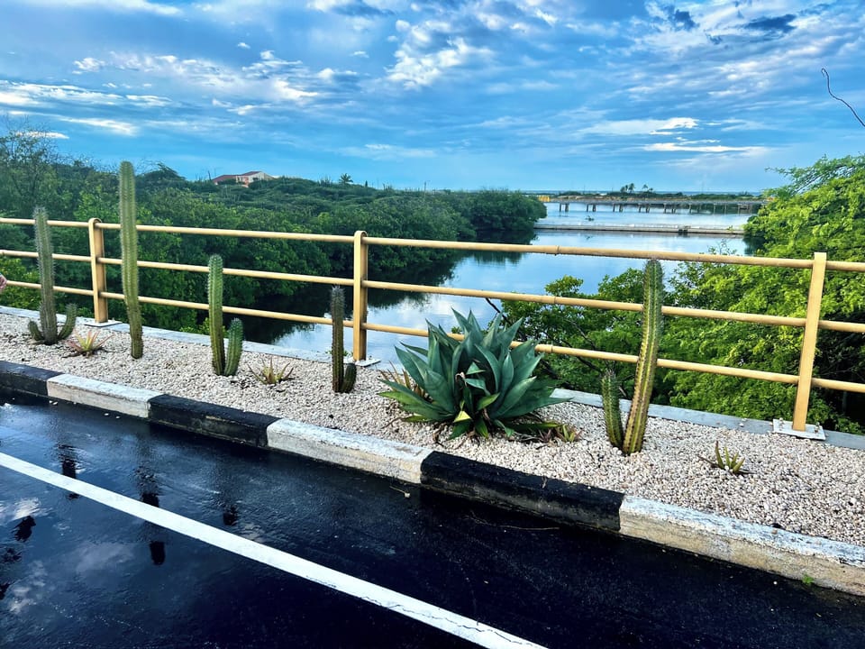 View from property