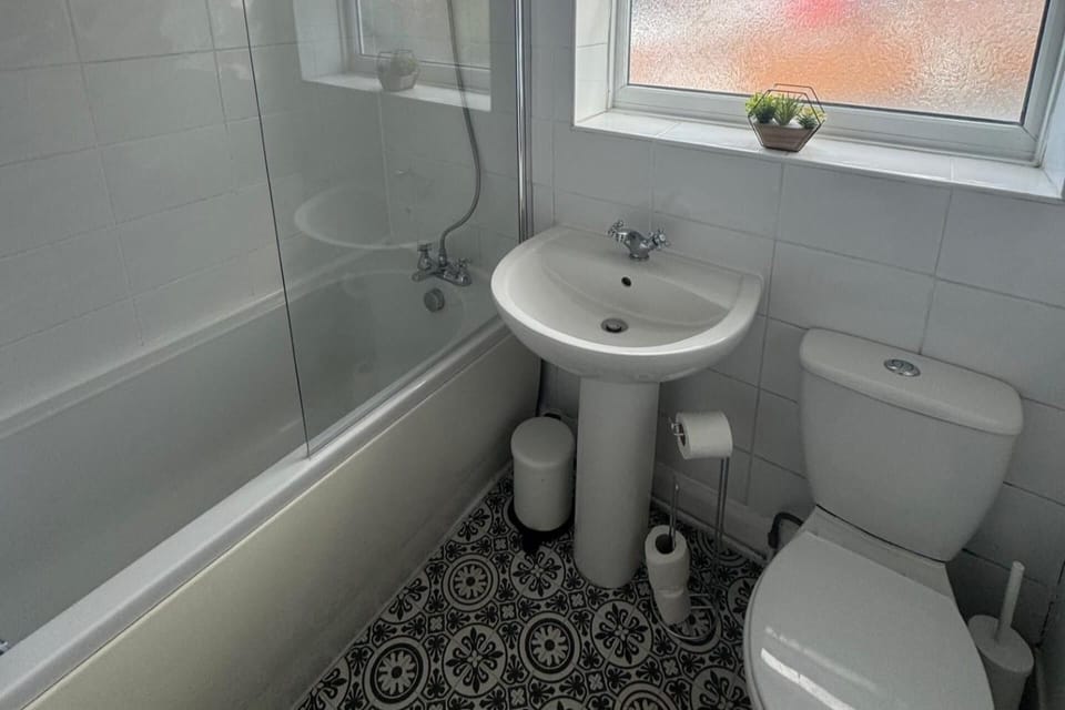 Shower, towels, toilet paper