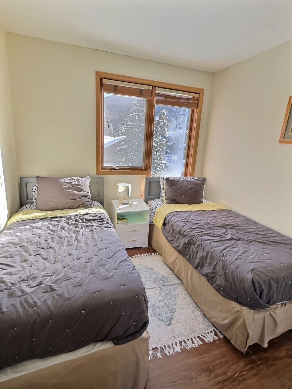 2nd bedroom with two twin beds.