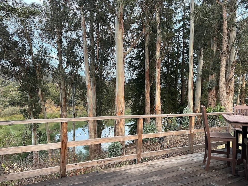 Back deck view of lake