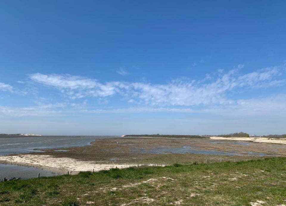 Apartment | View from property