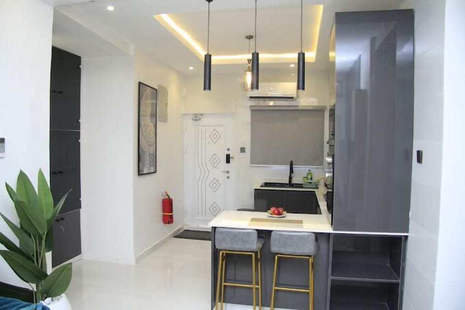 Economy Apartment, Balcony, City View | Private kitchen | Fridge, microwave, oven, stovetop