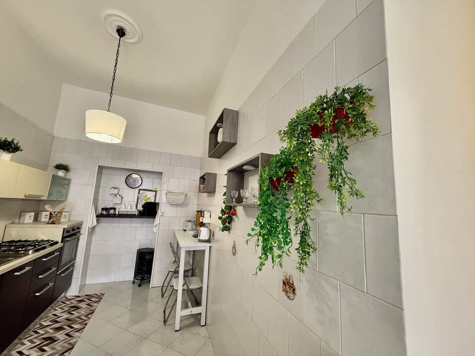 Deluxe Apartment, City View | Private kitchen | Electric kettle, toaster